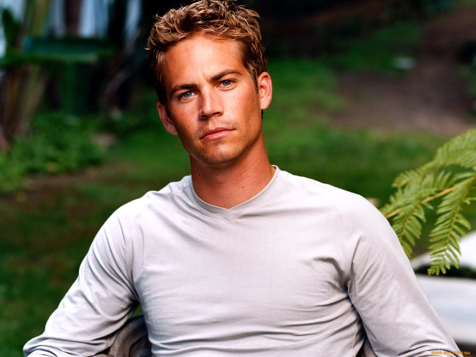 paul, walker, , 